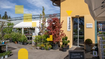 Energie und Dienstleistungen rund um die Magdalenastraße