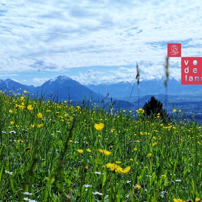 Regio Vorderland-Feldkirch: Das Klima im Fokus