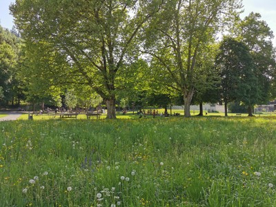 3d Spielplatz Reichenfeld.jpg