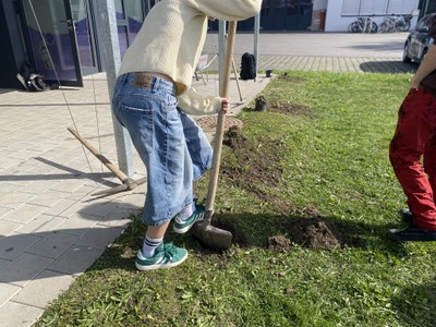 IMG_7259.JPEG