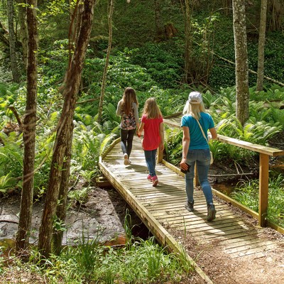 Aktivitäten mit dem Familienpass Sommer 2023