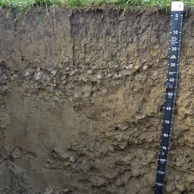 BODAwichtig - Was hat 1cm mit 100 Jahren zu tun?