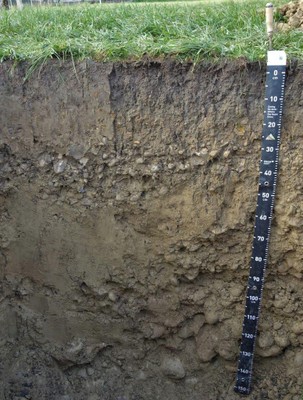 BODAwichtig - Was hat 1cm mit 100 Jahren zu tun? BODAwichtig - Was hat 1cm mit 100 Jahren zu tun?