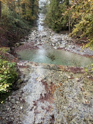 Fischerei-Verpachtung Mühltobelbach Fischerei-Verpachtung Mühltobelbach