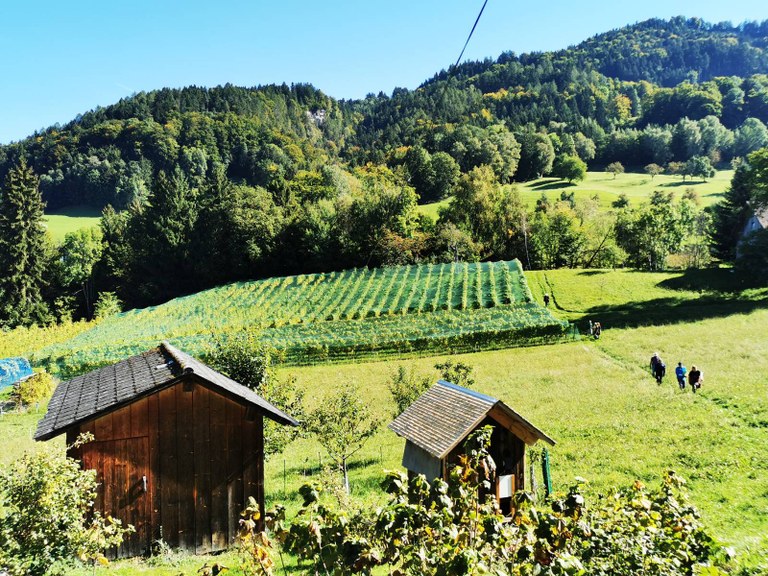 Das Weingut des Weinbaukollektiv West in Batschuns. | Foto: WKW