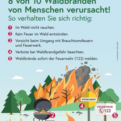 Vermeidung von Waldbränden