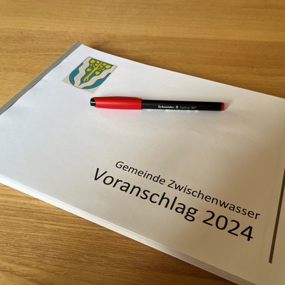 Rechnungsabschluss und Budgetvoranschlag