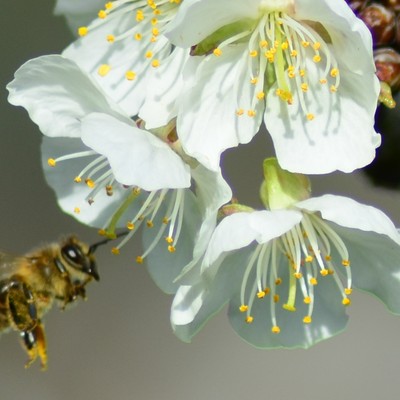 Umwelt- und Naturschutz