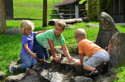 Bienen 0409.22 (Copy).JPG