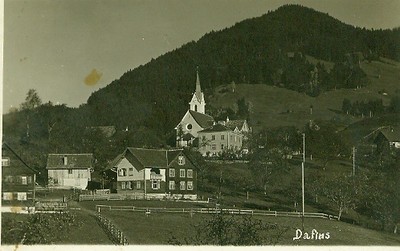 dafins1.jpg