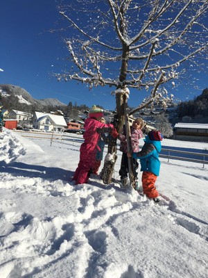 Exkursion_Bauhof_Zwischenwasser_Jan16 (18).JPG