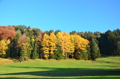 Herbst&shy;impressionen