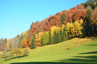 buchebrunnen2 (Copy).jpg