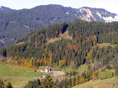 PA290002 (Copy).JPG