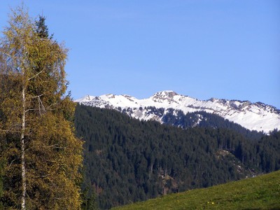 PA290003 (Copy).JPG