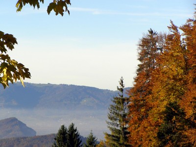 PA290034 (Copy).JPG