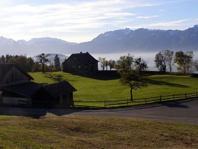 PA290040 (Copy).JPG