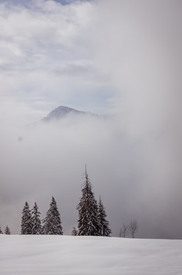 20250315-GS6A8574.jpg