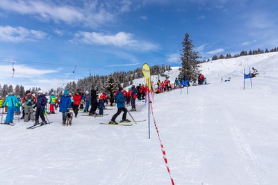 20250315-GS6A8593.jpg