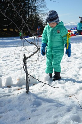 Schneewoche (9).JPG