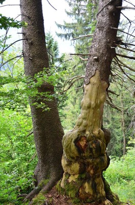 mc 0208.7[1] (Copy).jpg