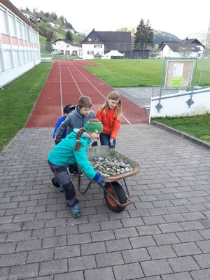 Freiwilligentag (7).jpg