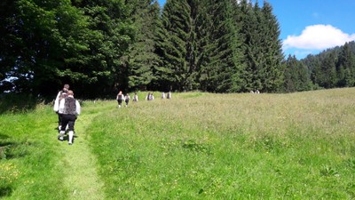 20170618_103124.jpg