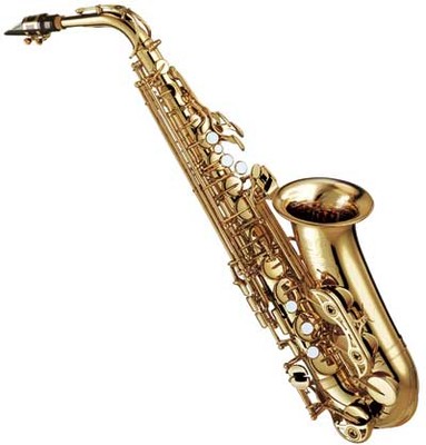 1. Platz beim prima la musica 1. Platz beim prima la musica