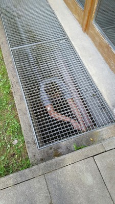 IMG-20160706-WA0023.jpg
