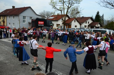 mini-orf 0504.73.jpg
