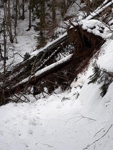 20190201_150353 (Copy).jpg