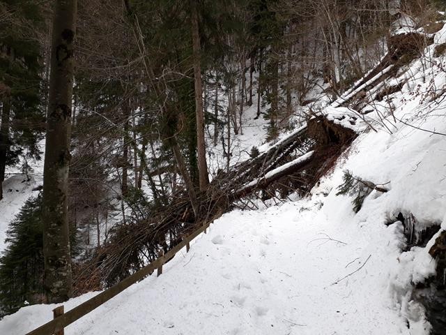 20190201_150404 (Copy).jpg