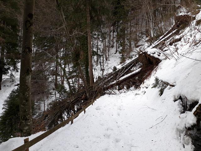 20190201_150404 (Copy).jpg
