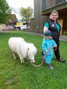 Bauernhof Bilder.jpg