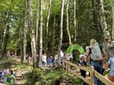 Bild2.JPG