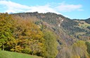 Dafins 11119.3.jpg