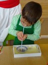DSC05524.JPG