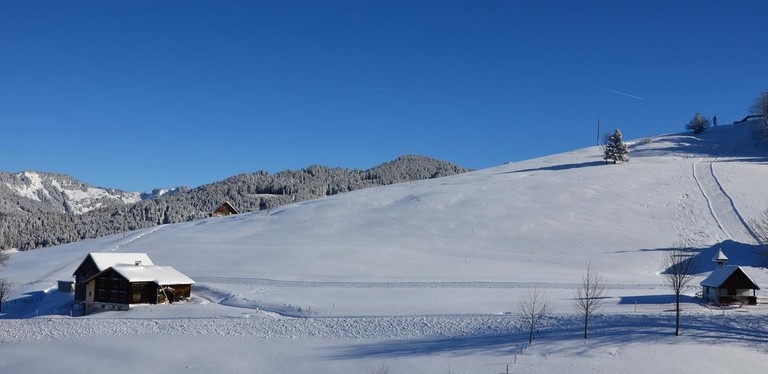 furx 1801.38 (Copy).jpg