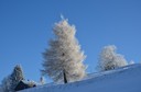 furx 2501117.2.JPG