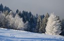 furx 2501117.8.JPG