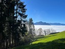 Herbst-Nebelbilder 2.jpg