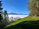 Herbst-Nebelbilder 3.jpg