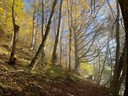 Herbst-Nebelbilder 4.jpg