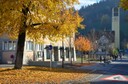 Natur 111118.4 (Copy).JPG