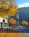 Natur 111118.5 (Copy).JPG