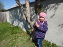 Ostern03.JPG