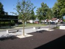 P6100001 (Copy).JPG