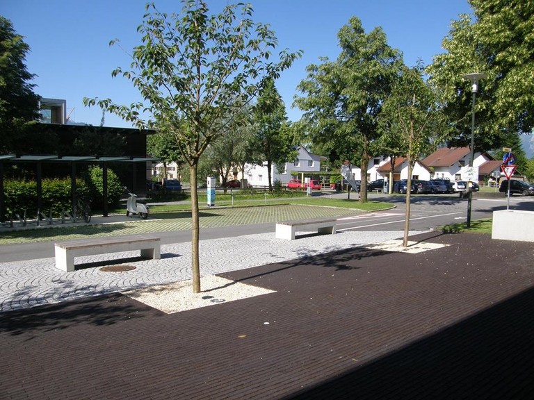 P6100001 (Copy).JPG