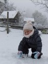 Schnee (1).jpg