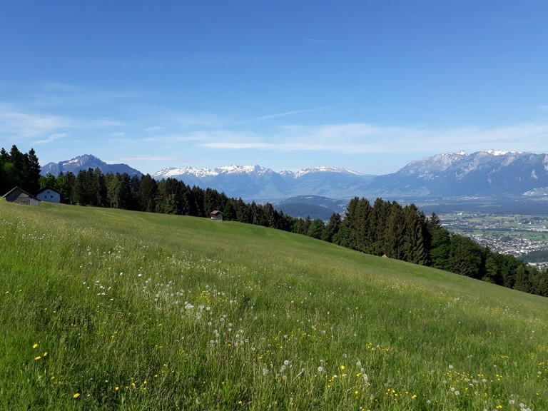 Sennewies und Furx (10).jpg